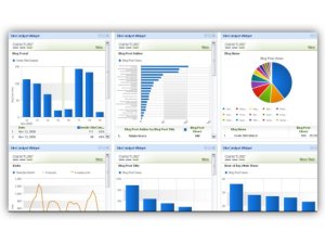 GV WEB REPORT